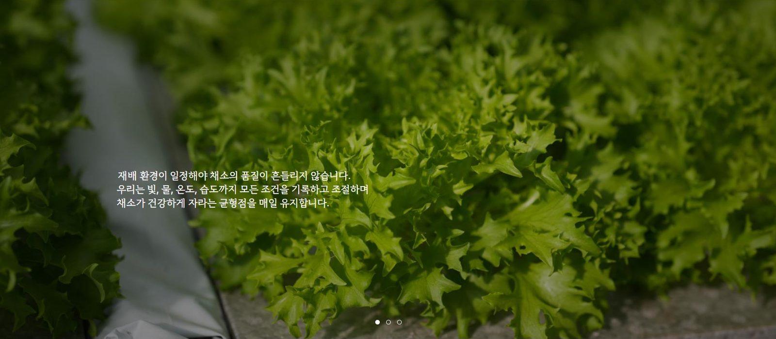 스마트팜 채소 브랜드 홈페이지 메인 화면